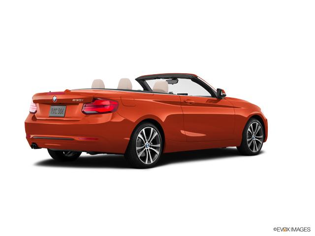 2019 BMW 230i Vehicle Photo in Grapevine, TX 76051
