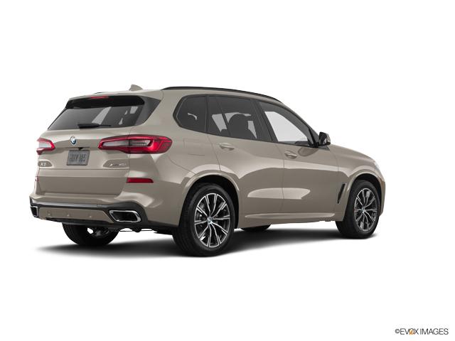 2019 BMW X5 xDrive40i Vehicle Photo in Grapevine, TX 76051