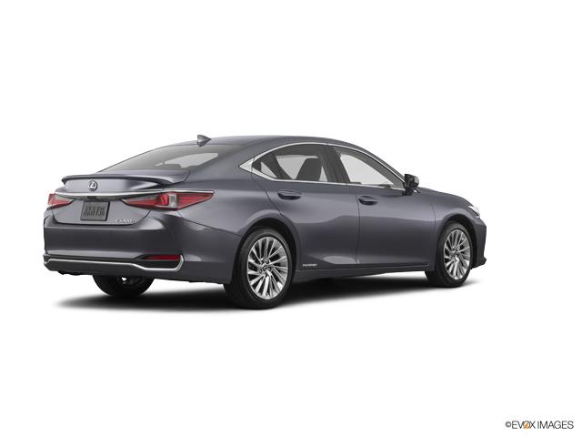 2019 Lexus ES 300h Vehicle Photo in Dallas, TX 75209