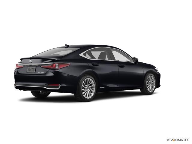 2019 Lexus ES 300h Vehicle Photo in Dallas, TX 75209
