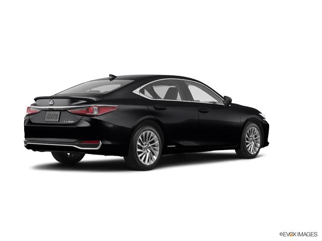 2019 Lexus ES 300h Vehicle Photo in Dallas, TX 75209
