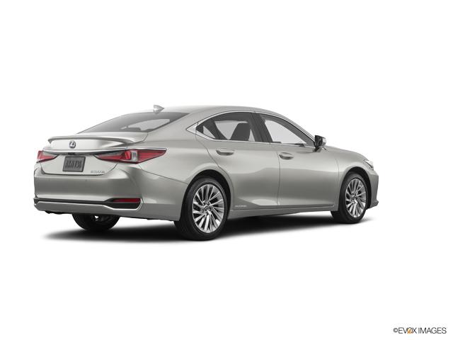 2019 Lexus ES 300h Vehicle Photo in Fort Worth, TX 76132