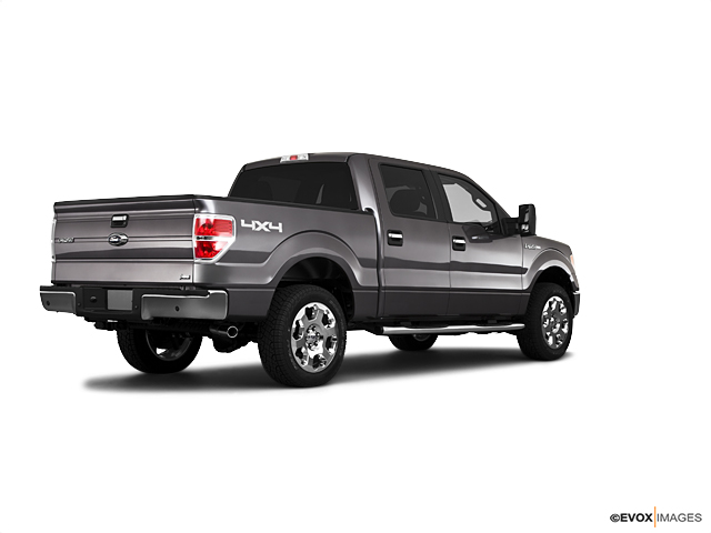 2010 Ford F-150 Vehicle Photo in Dallas, TX 75209