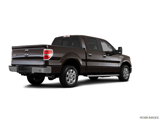 2013 Ford F-150 Vehicle Photo in Dallas, TX 75209