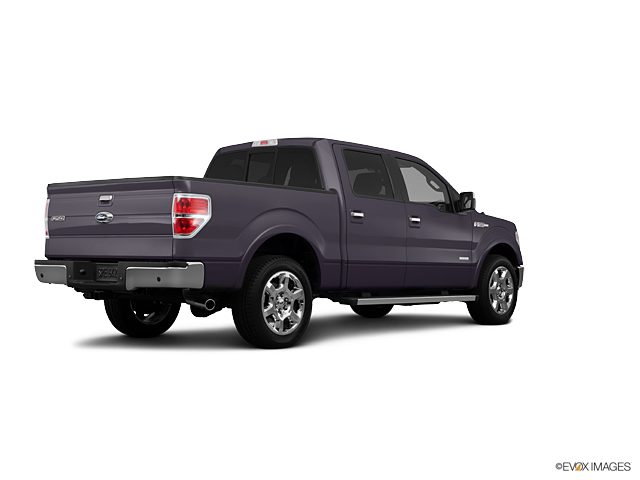 2013 Ford F-150 Vehicle Photo in Dallas, TX 75209