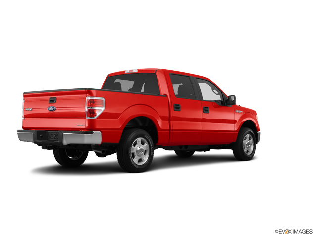 2014 Ford F-150 Vehicle Photo in Dallas, TX 75209