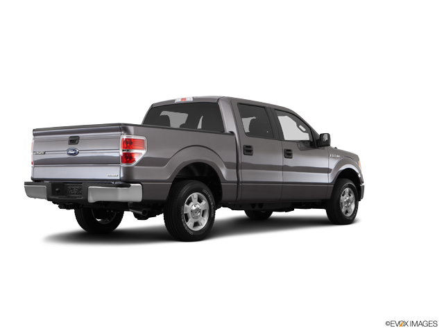 2014 Ford F-150 Vehicle Photo in Dallas, TX 75209