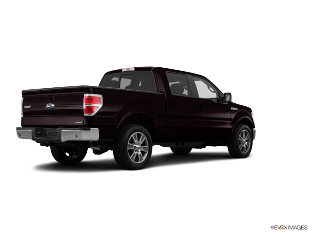 2014 Ford F-150 Vehicle Photo in Dallas, TX 75209