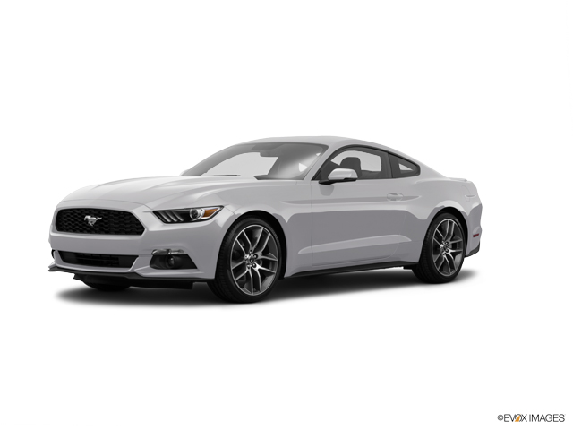 2015 Ford Mustang Vehicle Photo in Rosenberg, TX 77471