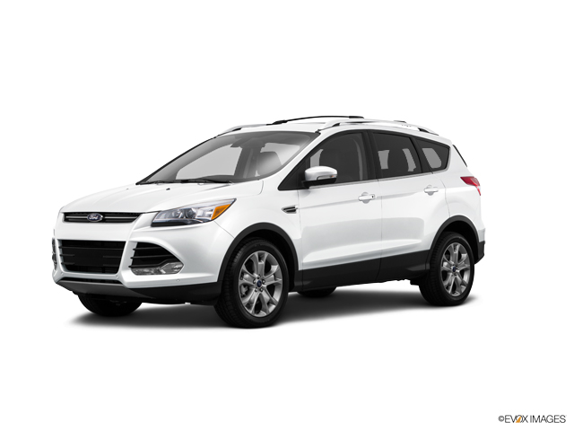 2015 Ford Escape Vehicle Photo in Colma, CA 94014