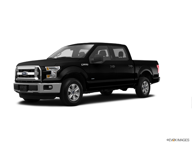 2015 Ford F-150 Vehicle Photo in Bedford, TX 76022