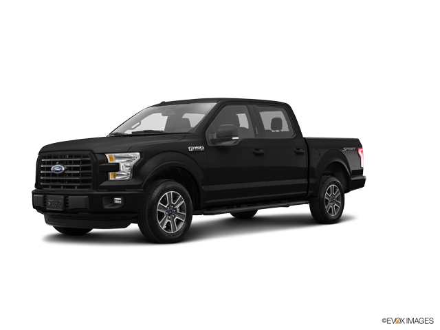 2016 Ford F-150 Vehicle Photo in Concord, NC 28027