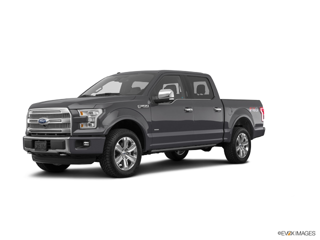 2016 Ford F-150 Vehicle Photo in Dallas, TX 75209