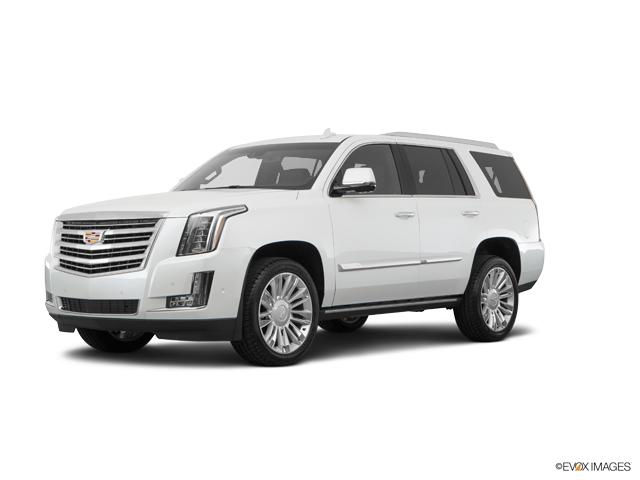 White 2017 Cadillac Escalade For At Bergstrom Automotive Vin 2017 Cadillac Escalade Vehicle Photo In Leton Wi 54913