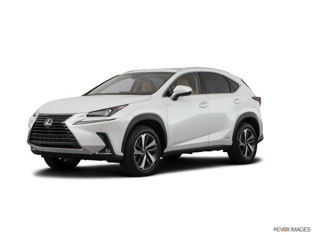 2019 Lexus NX 300h Vehicle Photo in Dallas, TX 75209