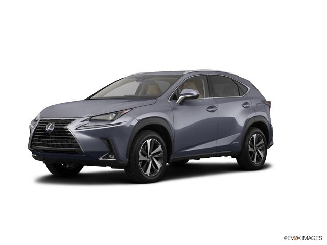 2019 Lexus NX 300h Vehicle Photo in Dallas, TX 75209