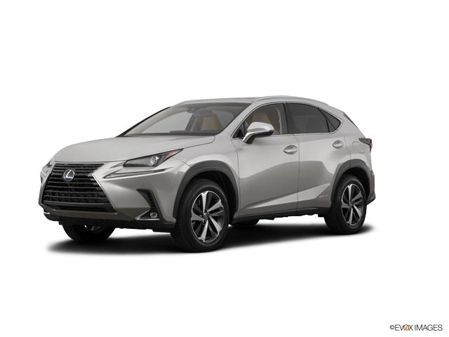 2019 Lexus NX 300h Vehicle Photo in Dallas, TX 75209