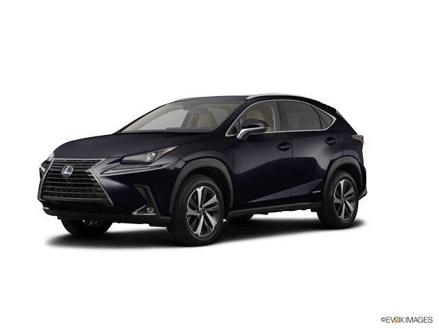 2019 Lexus NX 300h Vehicle Photo in Fort Worth, TX 76132