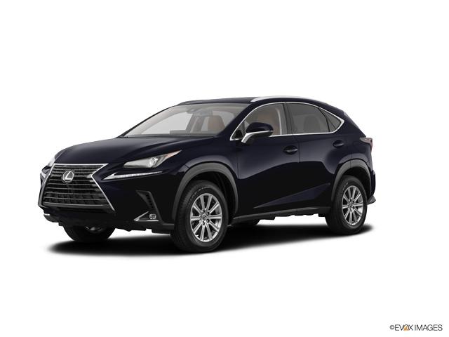 2019 Lexus NX 300 Vehicle Photo in Fort Worth, TX 76132