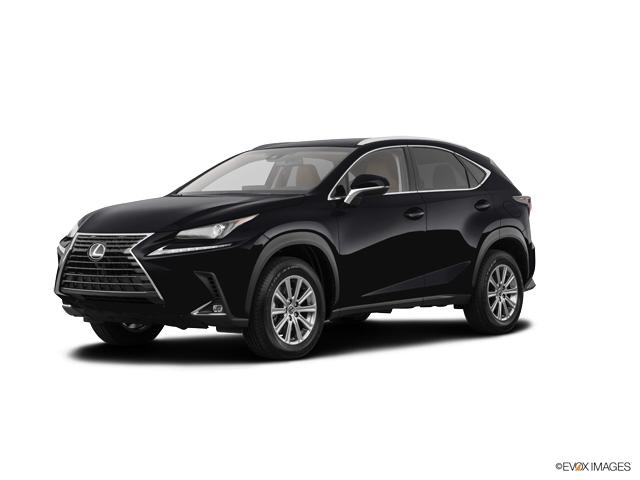 2019 Lexus NX 300 Vehicle Photo in Dallas, TX 75209
