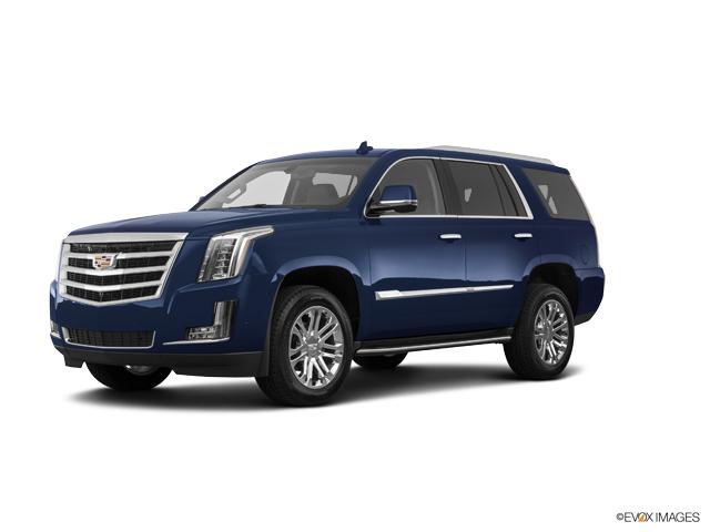 2019 Cadillac Escalade Vehicle Photo in Grapevine, TX 76051