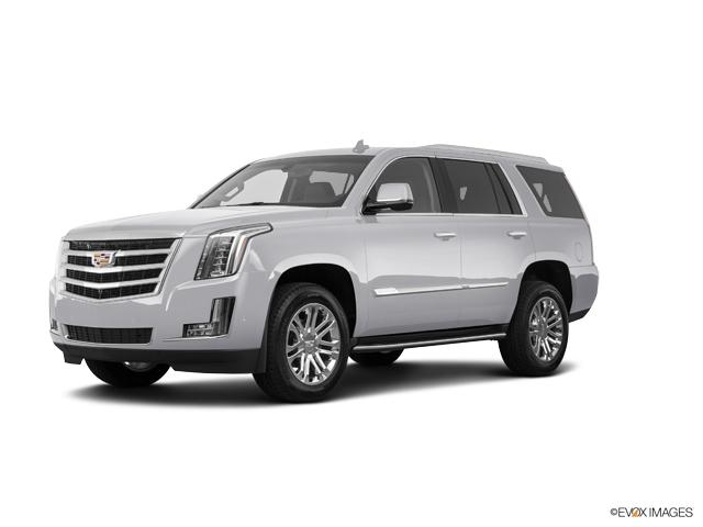 2019 Cadillac Escalade Vehicle Photo in Grapevine, TX 76051