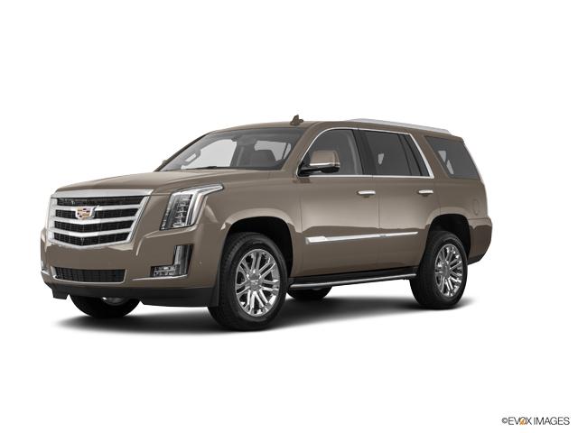 2019 Cadillac Escalade Vehicle Photo in San Antonio, TX 78230