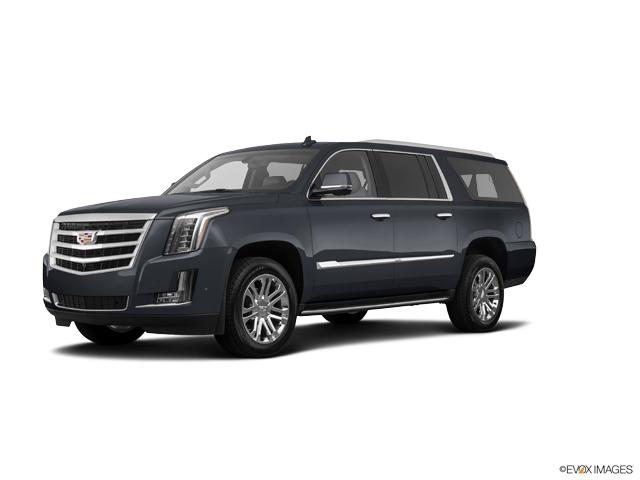 2019 Cadillac Escalade ESV Vehicle Photo in San Antonio, TX 78230