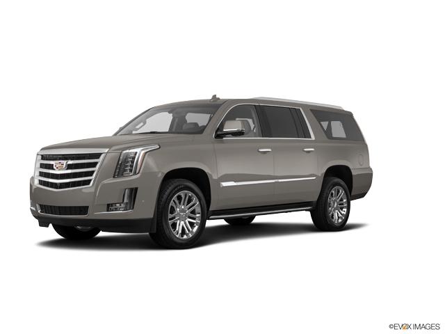2019 Cadillac Escalade ESV Vehicle Photo in San Antonio, TX 78230