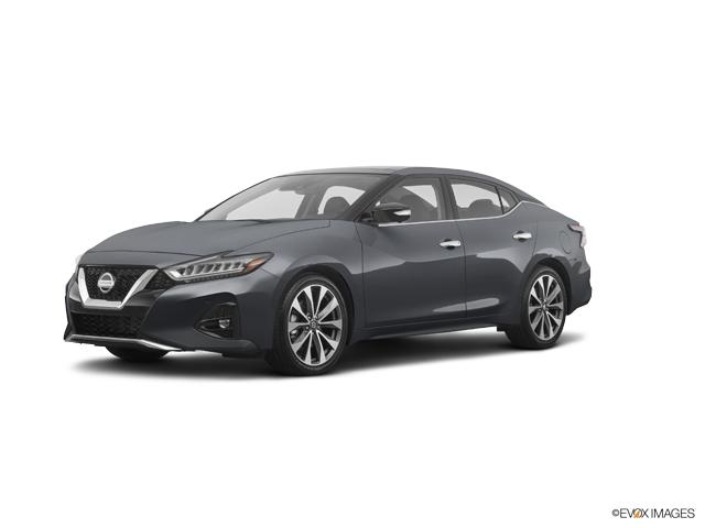 2019 Nissan Maxima Vehicle Photo in Bedford, TX 76022