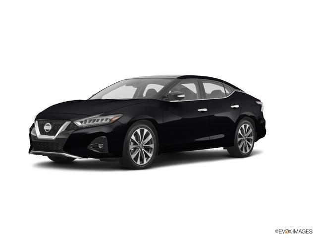 2019 Nissan Maxima Vehicle Photo in Bedford, TX 76022