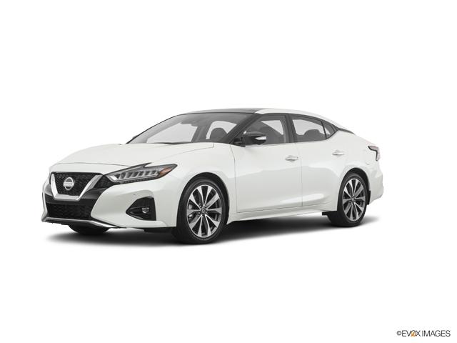 2019 Nissan Maxima Vehicle Photo in Bedford, TX 76022