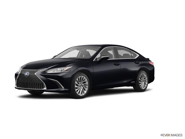 2019 Lexus ES 300h Vehicle Photo in Dallas, TX 75209