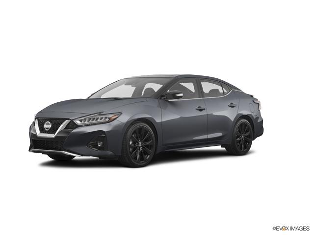 2019 Nissan Maxima Vehicle Photo in Bedford, TX 76022