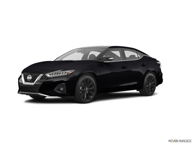 2019 Nissan Maxima Vehicle Photo in Bedford, TX 76022