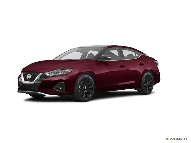 2019 Nissan Maxima Vehicle Photo in Bedford, TX 76022