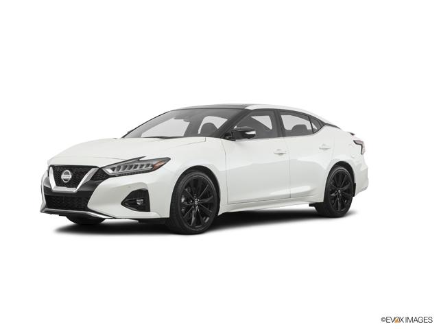 2019 Nissan Maxima Vehicle Photo in Bedford, TX 76022