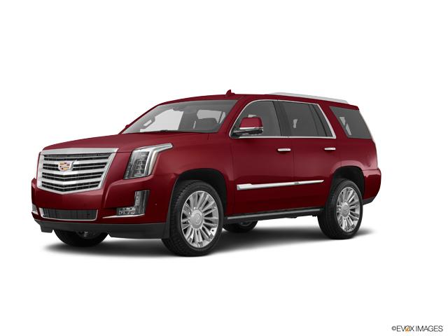 2019 Cadillac Escalade Vehicle Photo in Dallas, TX 75209