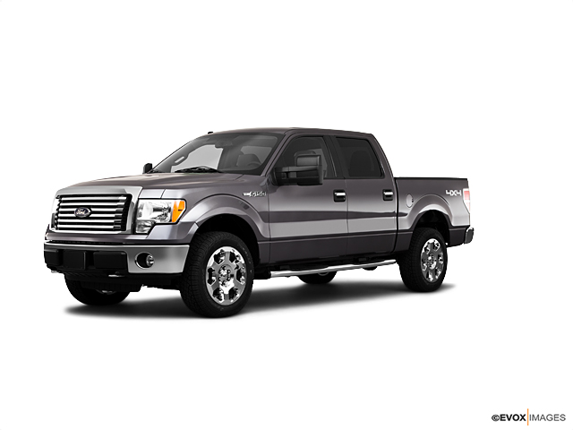 2010 Ford F-150 Vehicle Photo in Dallas, TX 75209