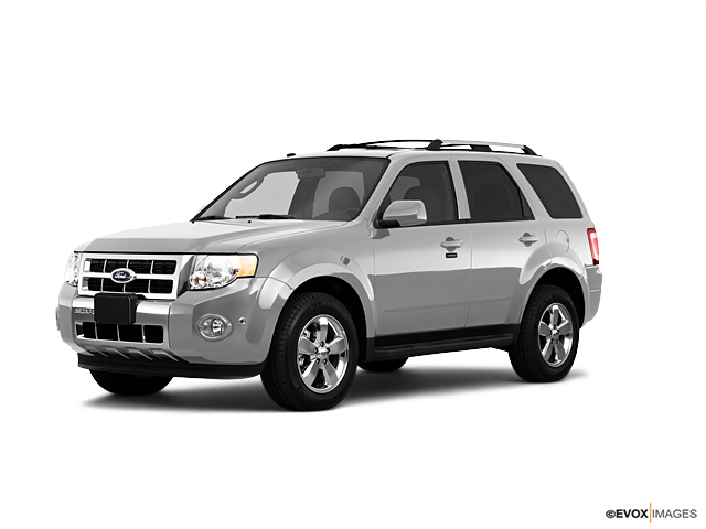 2010 Ford Escape Vehicle Photo in BIRMINGHAM, AL 35216