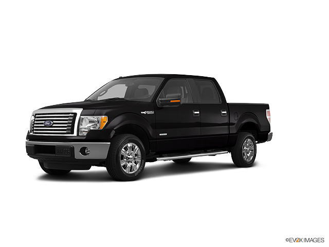 2012 Ford F-150 Vehicle Photo in Portland, OR 97225