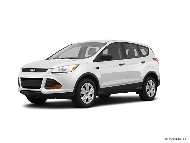 2013 Ford Escape Vehicle Photo in Durham, NC 27713