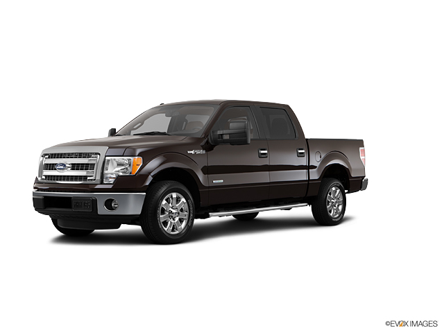 2013 Ford F-150 Vehicle Photo in Dallas, TX 75209