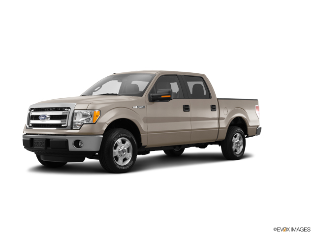 2014 Ford F-150 Vehicle Photo in Independence, MO 64055