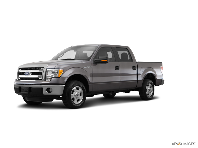2014 Ford F-150 Vehicle Photo in Dallas, TX 75209
