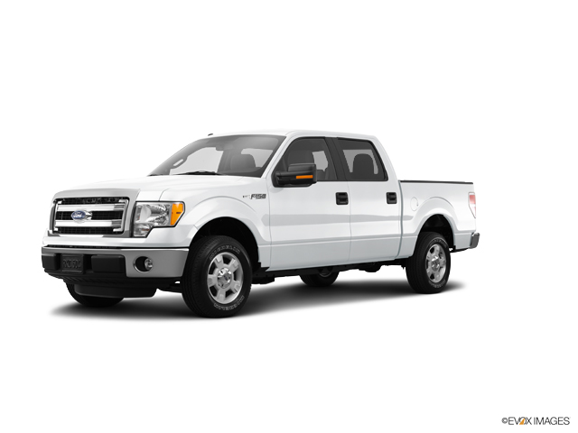 2014 Ford F-150 Vehicle Photo in Tallahassee, FL 32304