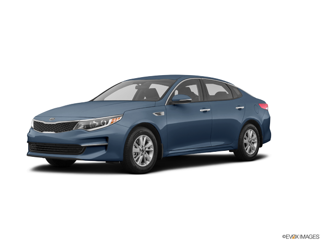 Optima LX Platinum Graphite