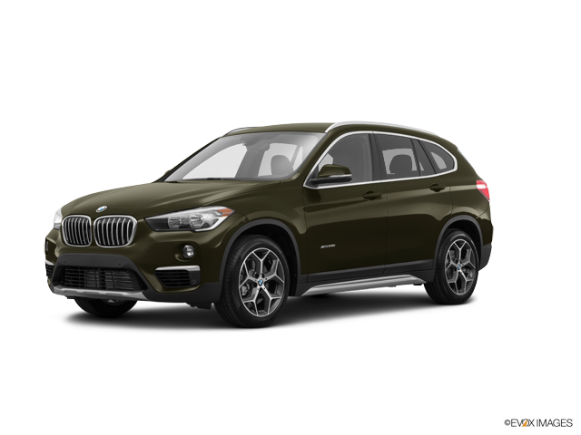 X1 xDrive28i Sports Activity Vehicle Dark Olive Metallic
