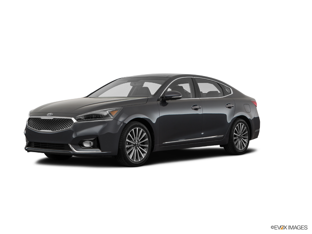 Cadenza Premium Platinum Graphite