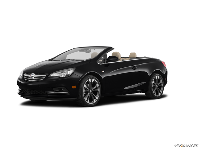 Cascada Premium Ebony Twilight Metallic